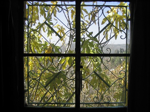 The world through a window: autumn fig tree, Jerusalem, Israel | © Melech ben Ya'aqov, Karaite Insights